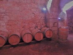 149 CHATEAU DE MONTREUIL BELLAY MAINE ET LOIRE 2016_000054